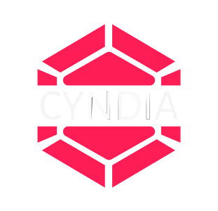 Cyndia CyberSpace LLP