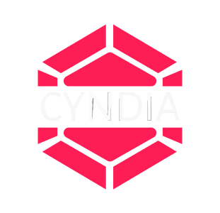 Cyndia CyberSpace LLP